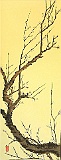 23 PLUM BRANCH 10X25