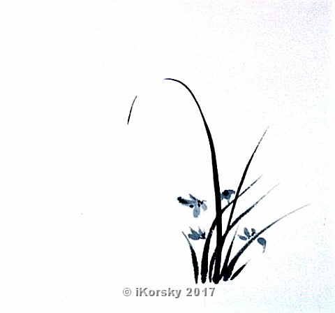 14 IRIS 20X20.jpg - 500 USD